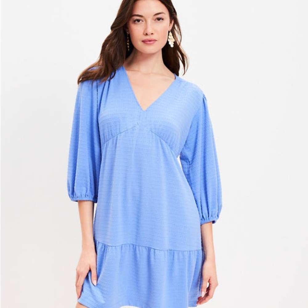 LOFT Jacquard Balloon Sleeve V-Neck Dress